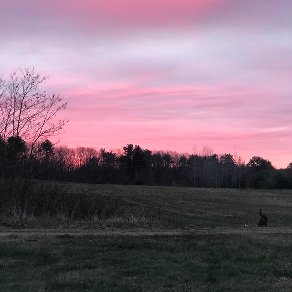 Meet your Posher, Bonnie - Picture 1 of 1